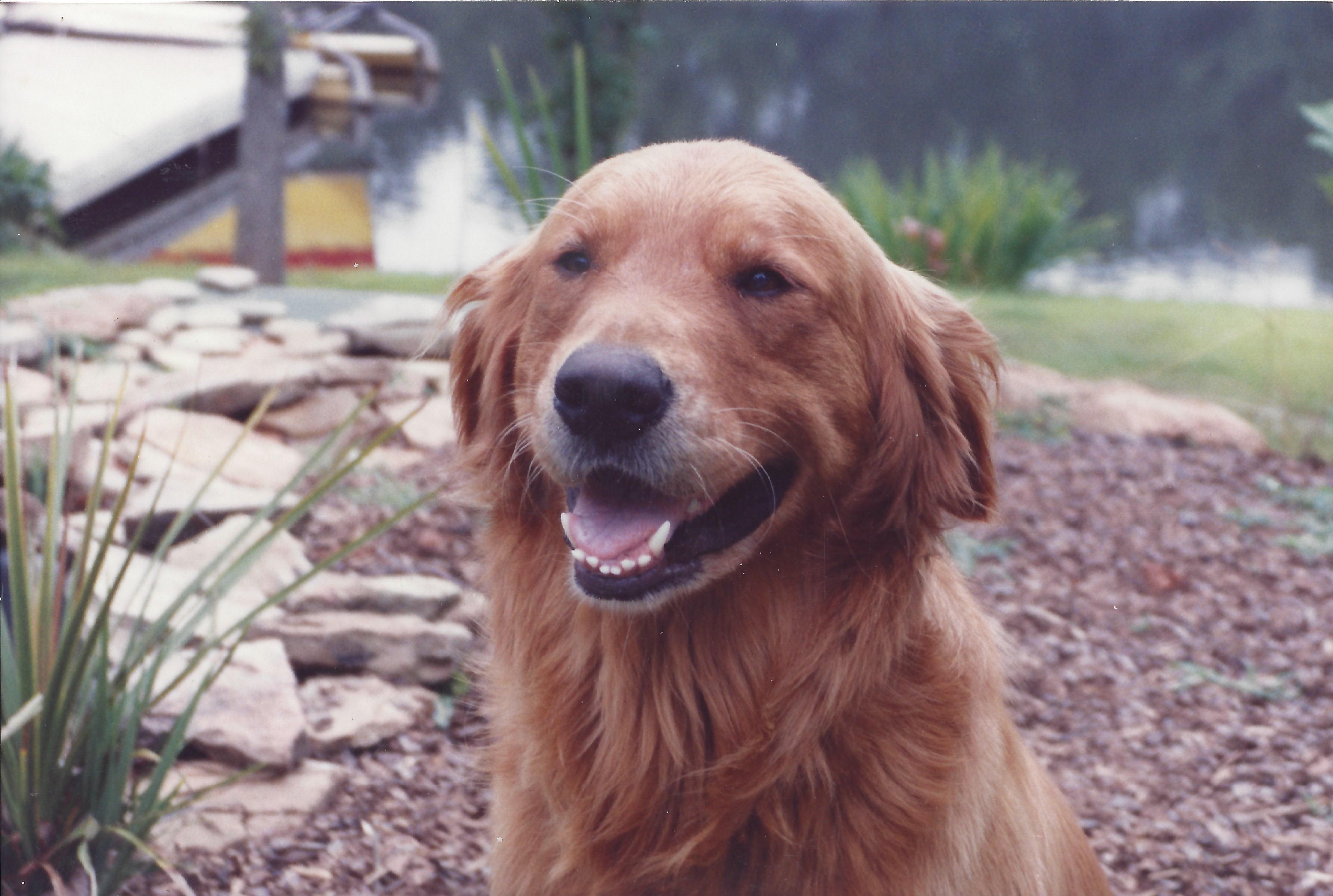 We are so Happy because Butch just SOLD our house for "Top Dollar!"